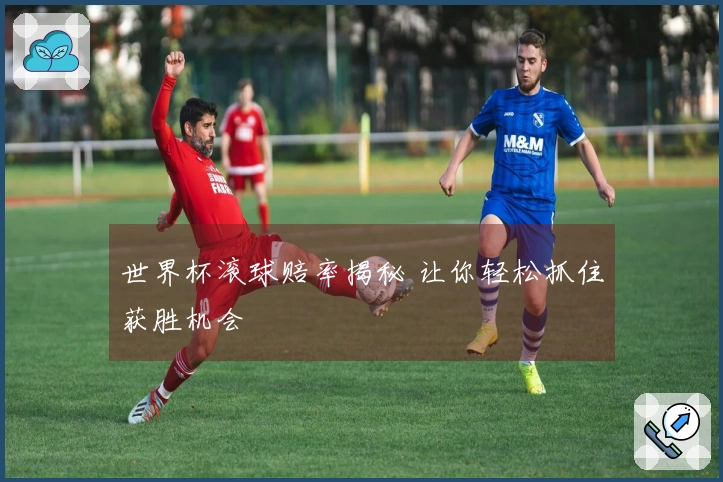 世界杯滚球赔率揭秘 让你轻松抓住获胜机会