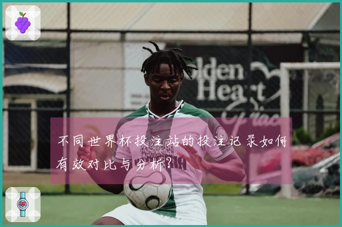 不同世界杯投注站的投注记录如何有效对比与分析？