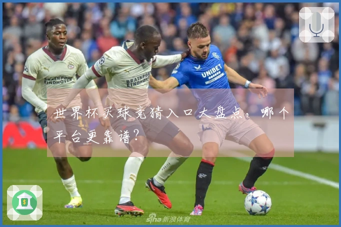 世界杯买球竞猜入口大盘点，哪个平台更靠谱？
