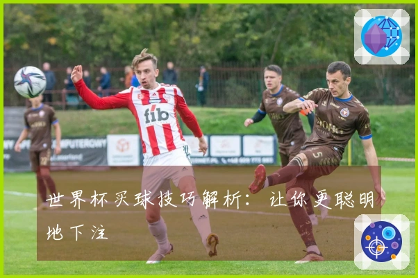 世界杯买球技巧解析：让你更聪明地下注