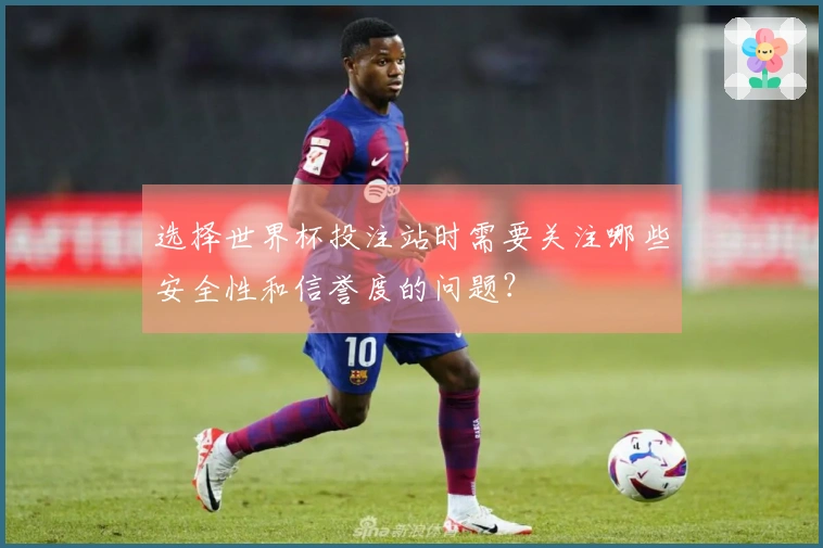 选择世界杯投注站时需要关注哪些安全性和信誉度的问题？