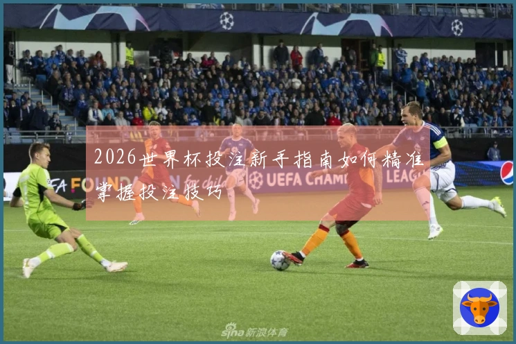 2026世界杯投注新手指南如何精准掌握投注技巧