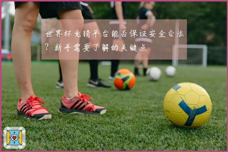 世界杯竞猜平台能否保证安全合法？新手需要了解的关键点