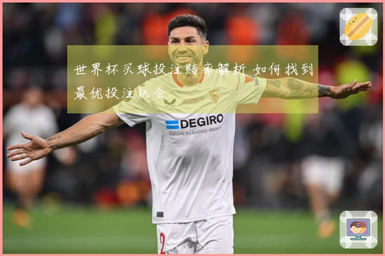 世界杯买球投注赔率解析 如何找到最优投注机会