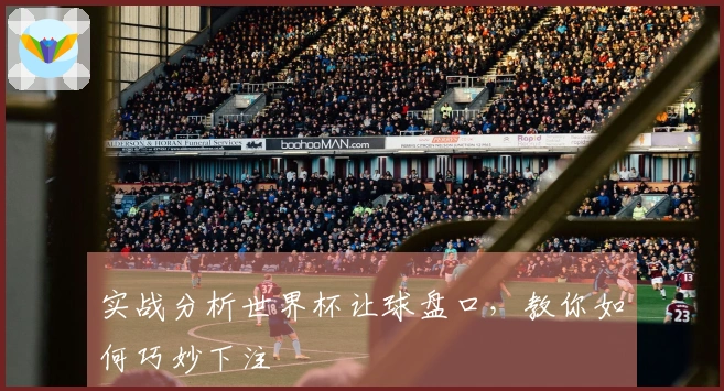 实战分析世界杯让球盘口，教你如何巧妙下注