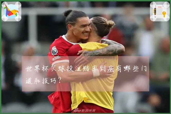 世界杯买球投注赔率到底有哪些门道和技巧？