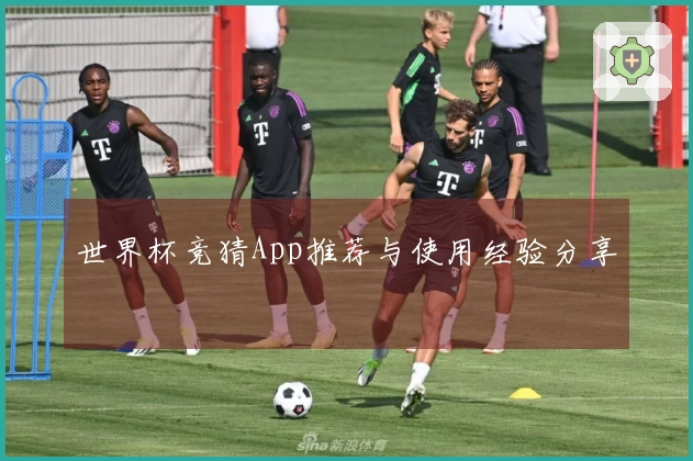 世界杯竞猜App推荐与使用经验分享