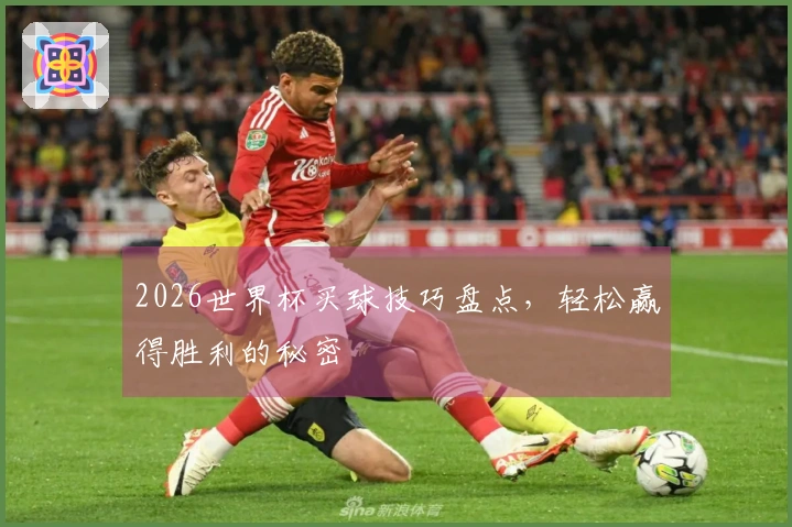 2026世界杯买球技巧盘点，轻松赢得胜利的秘密