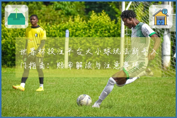 世界杯投注平台大小球玩法新手入门指南：赔率解读与注意事项