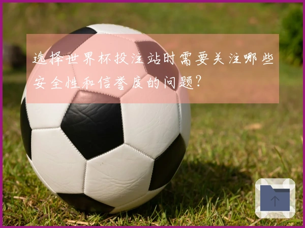 选择世界杯投注站时需要关注哪些安全性和信誉度的问题？