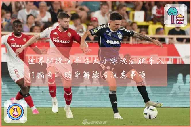 世界杯投注平台大小球玩法新手入门指南：赔率解读与注意事项