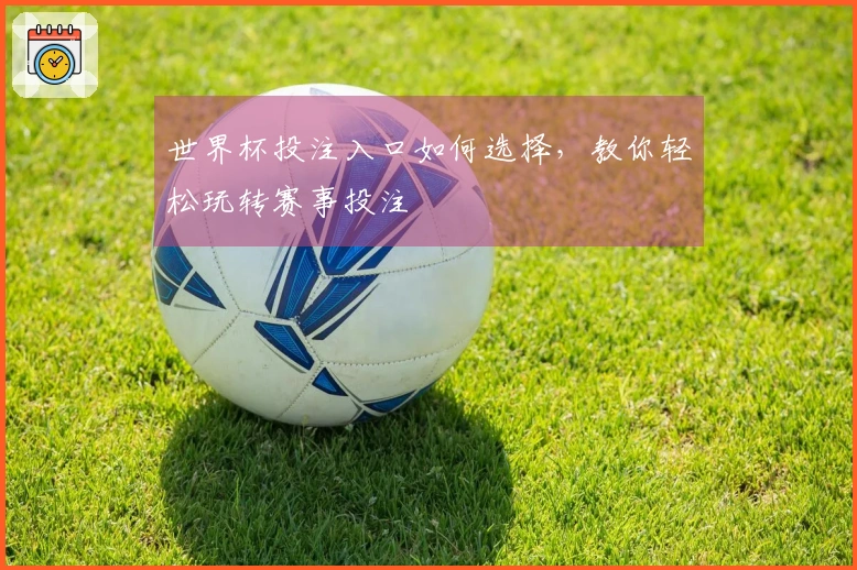 世界杯投注入口如何选择，教你轻松玩转赛事投注