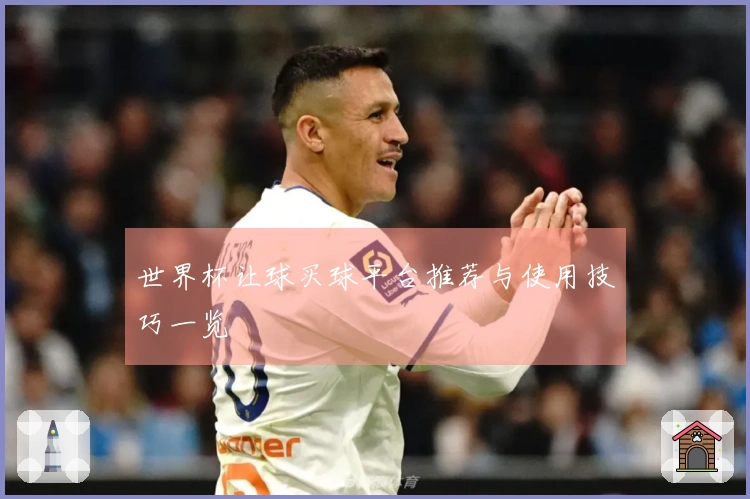 世界杯让球买球平台推荐与使用技巧一览