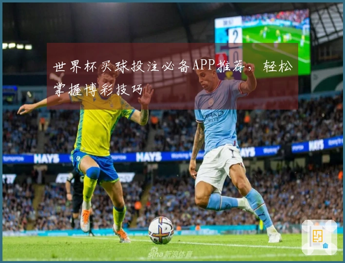 世界杯买球投注必备APP推荐，轻松掌握博彩技巧