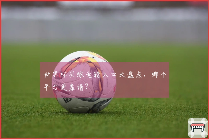 世界杯买球竞猜入口大盘点，哪个平台更靠谱？