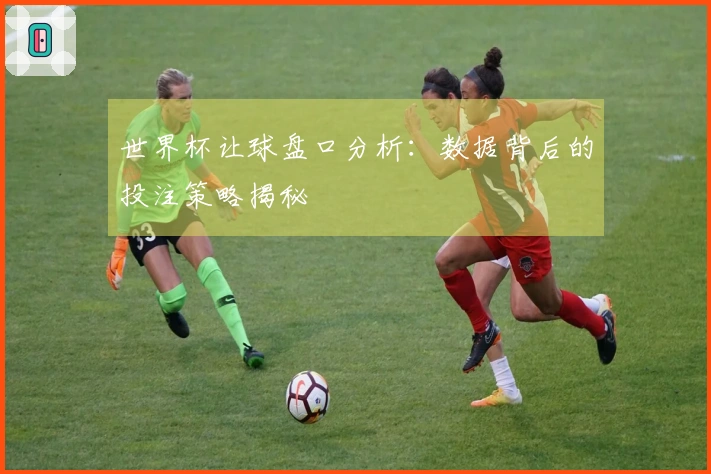 世界杯让球盘口分析：数据背后的投注策略揭秘